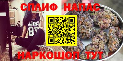бошки Ставрополь