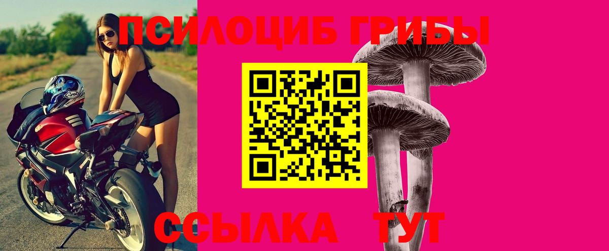 Галлюциногенные грибы Cubensis  хочу наркоту  Мыски  Галлюциногенные грибы мицелий  Вход с VPN 